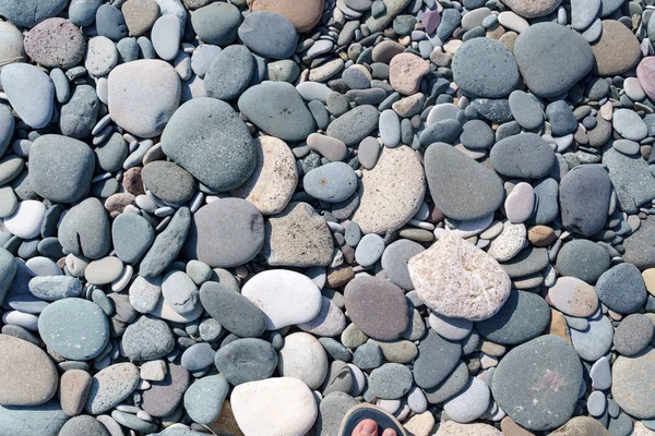 灰色の小石のビーチで石 クローズ アップ — ストック写真