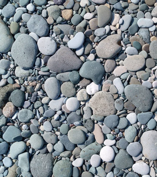 灰色の小石のビーチで石 クローズ アップ — ストック写真