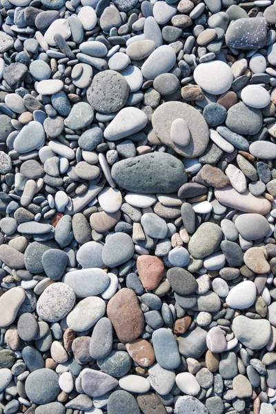 灰色鹅卵石在海滩上 — 图库照片