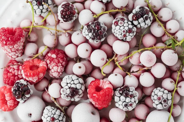 Bayas Congeladas Maduras Cerca — Foto de Stock