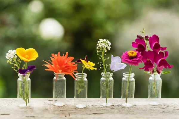 Bonitas Flores Las Botellas — Foto de Stock