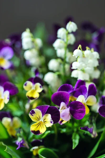 Spring Bouquet Vase Close — Stock Photo, Image