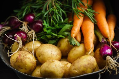 siyah arka plan üzerine taze sebze yakın çekim