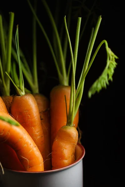 Zanahorias Frescas Sobre Fondo Negro Cerca —  Fotos de Stock