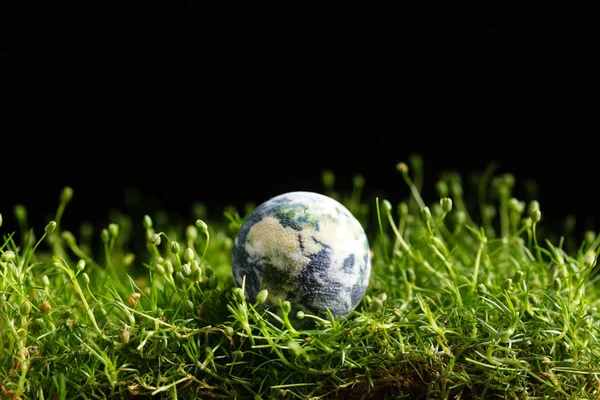 World Globe Shape Green Grass — Stock Photo, Image