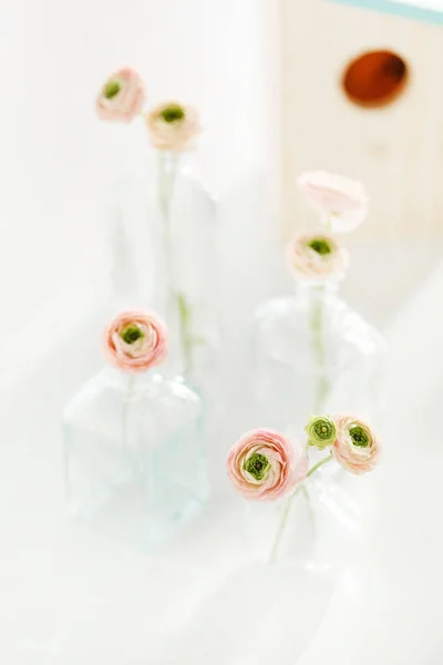 Jarní Květy Bílém Pozadí Zblízka — Stock fotografie