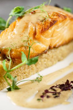 quinoa, somon steak yakın çekim