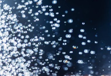 Mavi arkaplanda su damlaları, doku