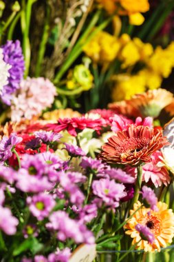 renkli bahar çiçekleri yakın çekim