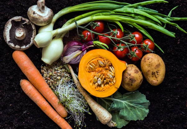 Légumes Frais Biologiques Gros Plan — Photo