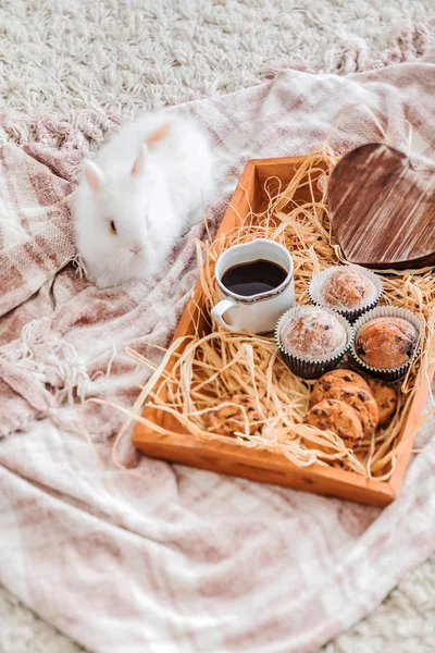 Пасхальный Завтрак Белым Кроликом — стоковое фото