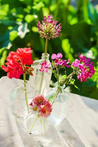 Ljusa Sommarblommor Närbild — Stockfoto