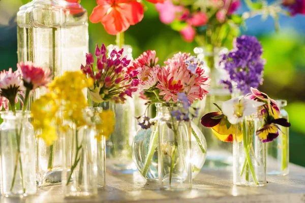 Ljusa Sommarblommor Närbild — Stockfoto