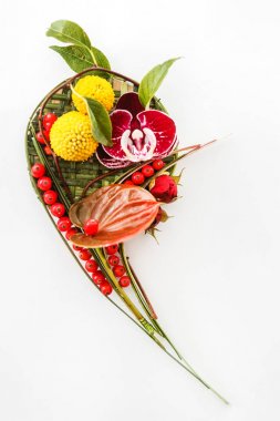 güzel beyaz arka plan üzerinde yaka çiçeği