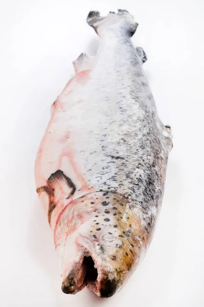 Fryst Fisk Öring Närbild — Stockfoto