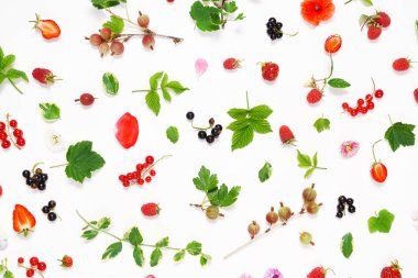 çiçek ve meyveleri ile yaz konsepti