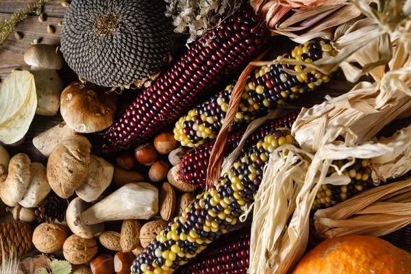 Autumn Harvest Wooden Background — Stock Photo, Image