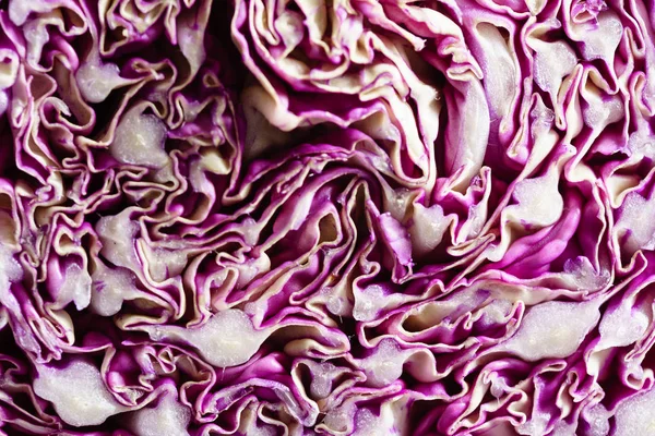 purple chinese cabbage, close up