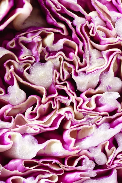 紫色の白菜 クローズ アップ — ストック写真