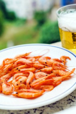 karides ile plaka, yakın çekim