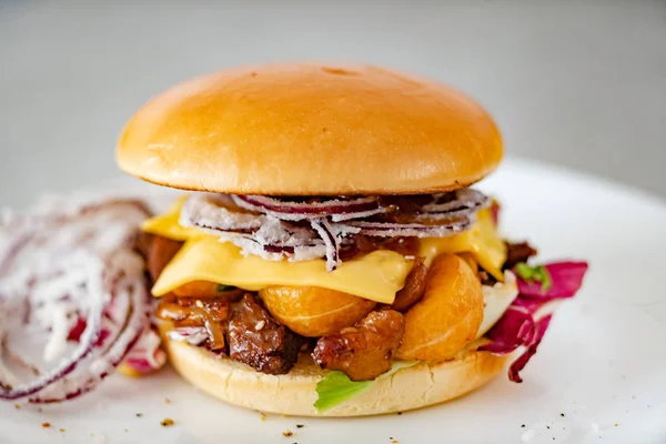 Burger Ile Ördek Fileto Yakın Çekim — Stok fotoğraf
