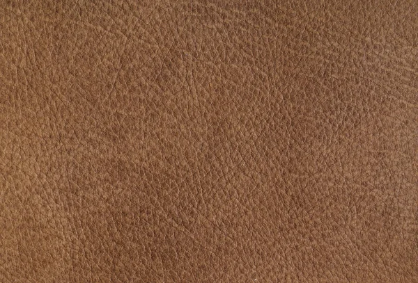 Leather Background Close — Stock Photo, Image