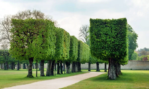 Park France Nature — Stock Photo, Image