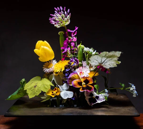 Schöne Frühlingsblumen Aus Nächster Nähe — Stockfoto