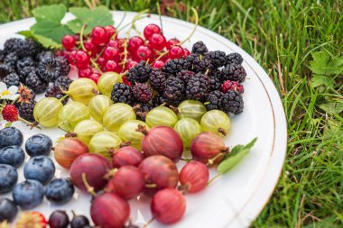 Beyaz tabakta farklı meyveler.