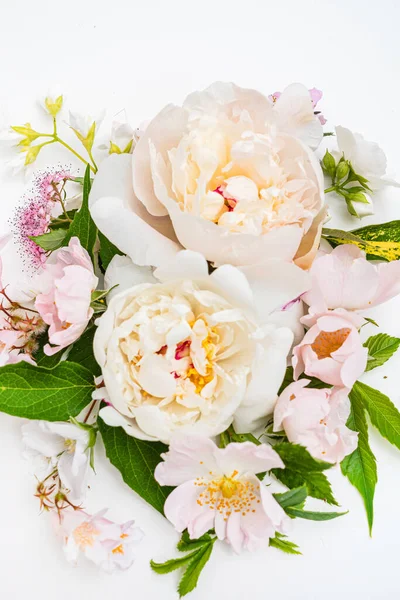 Καλοκαιρινά Λουλούδια Στο Λευκό Φόντο — Φωτογραφία Αρχείου