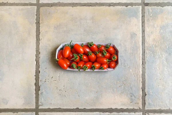 Ramo Tomates Cereja Perto — Fotografia de Stock