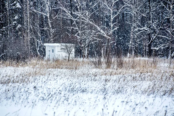 Paesaggio Invernale Neve Nel Parco — Foto Stock