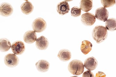 Beyaz arka planda beyaz biber.