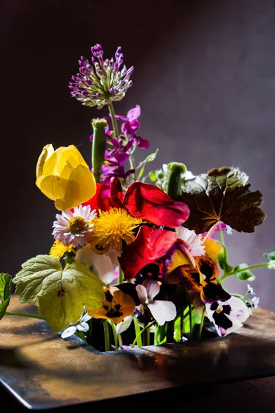 Fina Vårblommor Närbild — Stockfoto