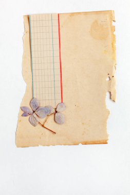 Vintage eski kağıt, yakın