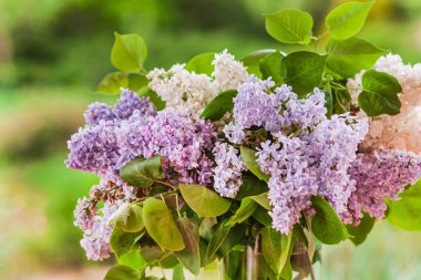 Eflatun çiçekler vazoda