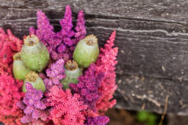 Güzel çiçekler, yakın çekim.
