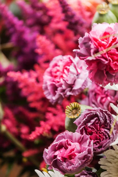 Pěkné Květiny Zavřít — Stock fotografie