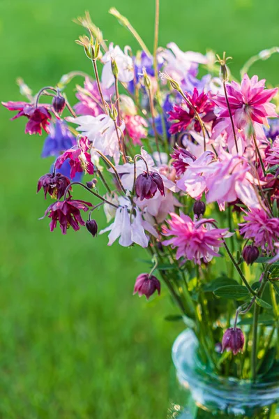 Jasne Letnie Kwiaty Bliska — Zdjęcie stockowe