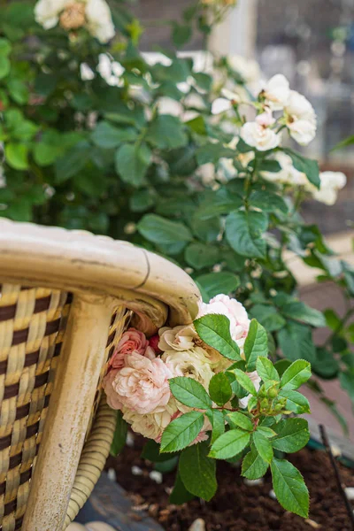 Fina Blommor Behållarna — Stockfoto