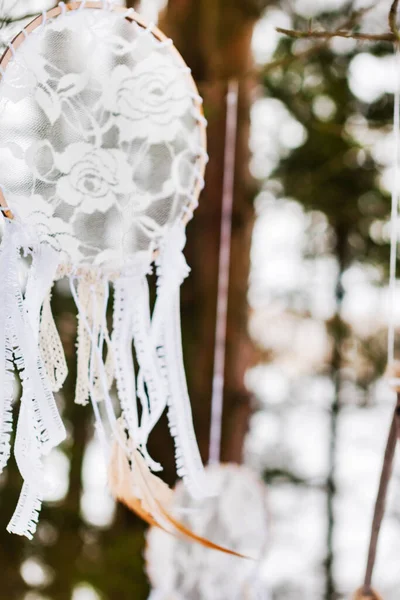 Belle Décoration Dans Forêt — Photo