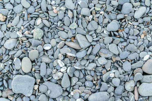 Pebbles Beach Nature Texture — 图库照片