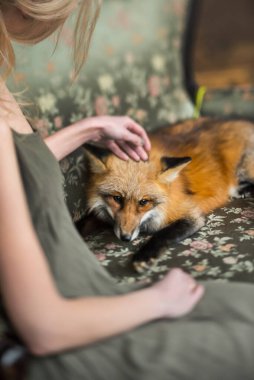 Kızıl Tilki ve Kadın