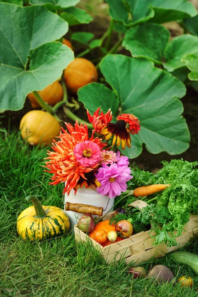 Őszi Elrendezés Friss Zöldségek Virágok — Stock Fotó