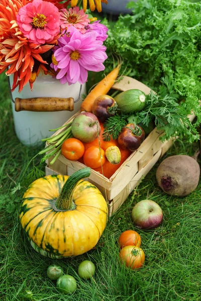 秋季安排 新鲜蔬菜及花卉 — 图库照片