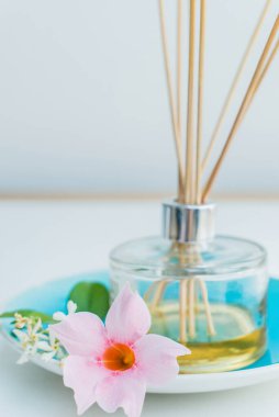 spa konsepti - çubuklu aromatik dağıtıcı