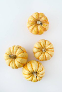 beyaz zemin üzerine kabaklar