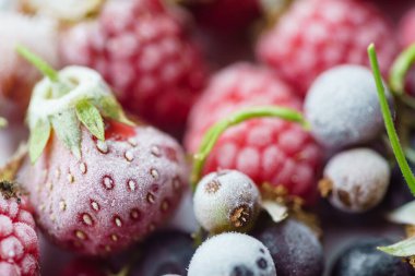 Donmuş böğürtlen makrosu, üst manzara