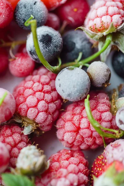 Bevroren Bessen Macro Bovenaanzicht — Stockfoto