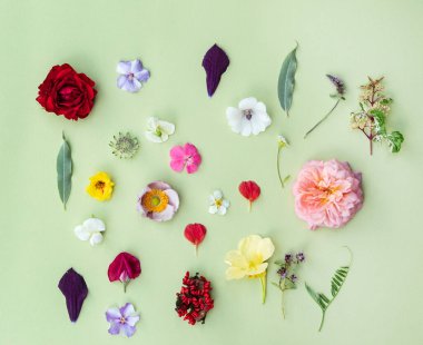 Yeşilde güzel bir çiçek arkaplanı 